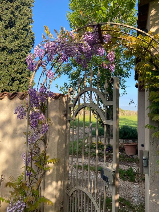 Monte Maino Bed & Breakfast Desenzano del Garda Bagian luar foto