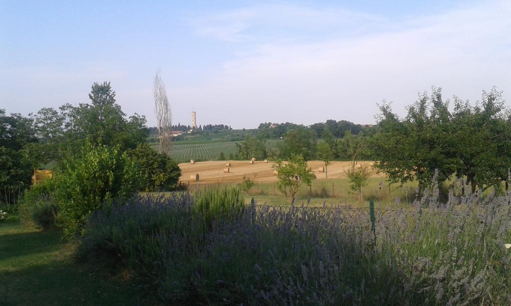 Monte Maino Bed & Breakfast Desenzano del Garda Bagian luar foto