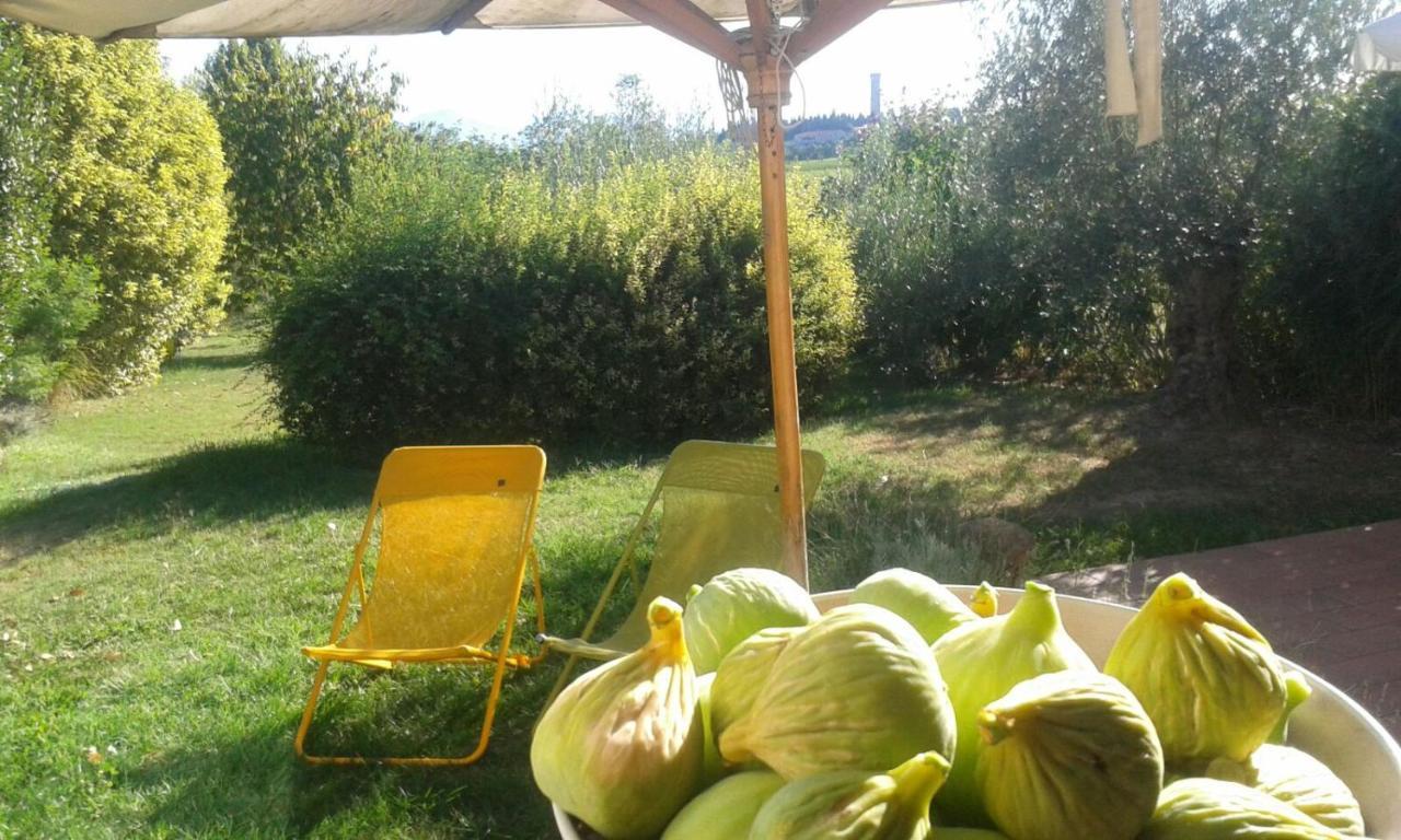 Monte Maino Bed & Breakfast Desenzano del Garda Bagian luar foto